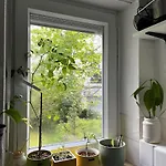 Schwabing Cute Apartament