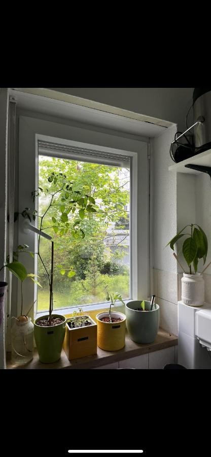 Schwabing Cute Apartament